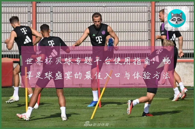 世界杯买球专题平台使用指南：畅享足球盛宴的最佳入口与体验方法
