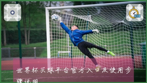 世界杯买球平台官方入口及使用步骤说明