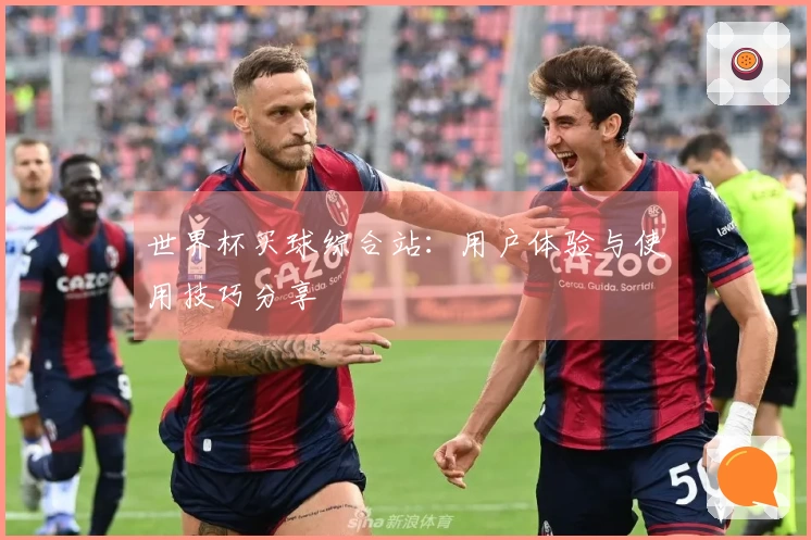世界杯买球综合站：用户体验与使用技巧分享