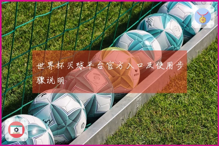 世界杯买球平台官方入口及使用步骤说明