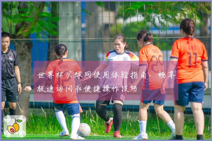 世界杯买球网使用体验指南，畅享极速访问和便捷操作技巧