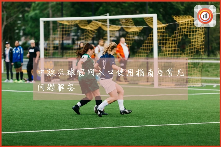 中欧买球官网入口使用指南与常见问题解答