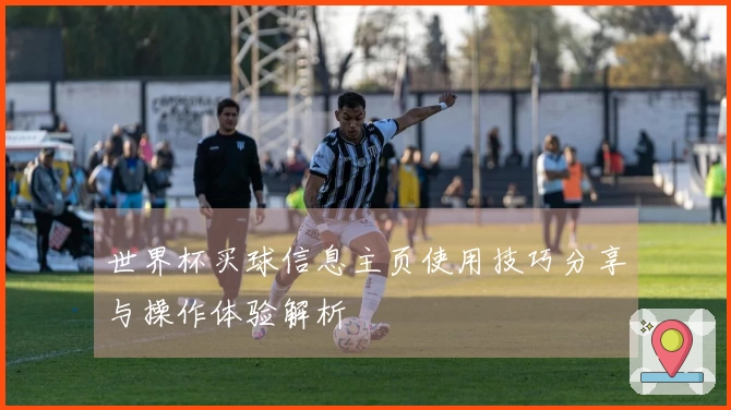 世界杯买球信息主页使用技巧分享与操作体验解析