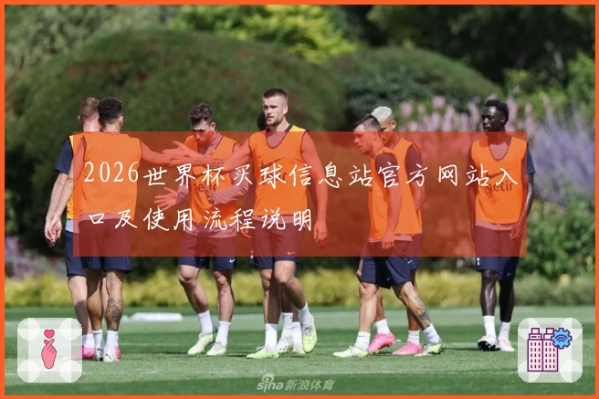 2026世界杯买球信息站官方网站入口及使用流程说明