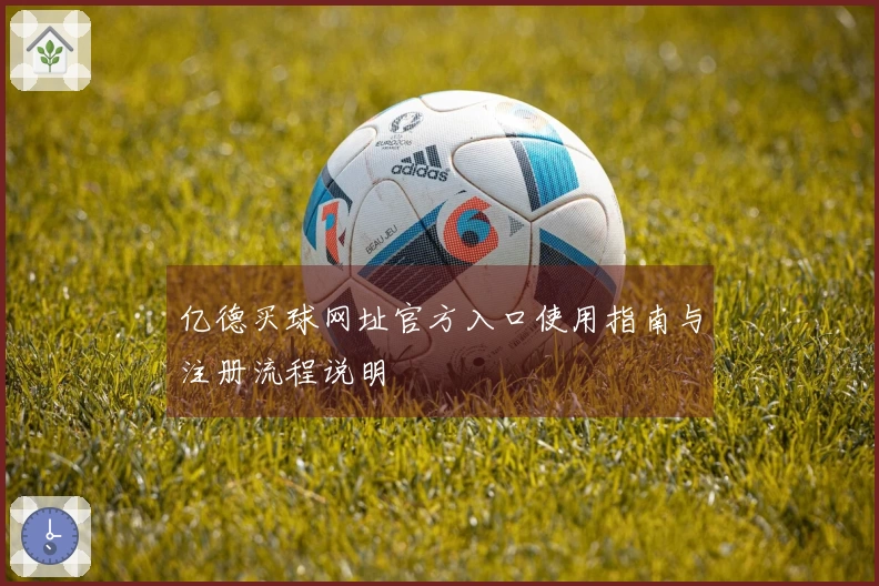 亿德买球网址官方入口使用指南与注册流程说明