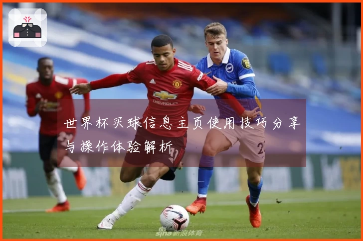 世界杯买球信息主页使用技巧分享与操作体验解析