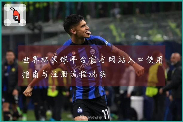 世界杯买球平台官方网站入口使用指南与注册流程说明