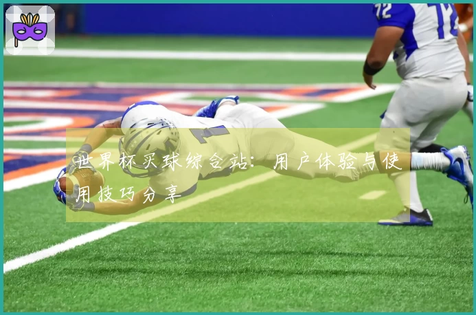 世界杯买球综合站：用户体验与使用技巧分享