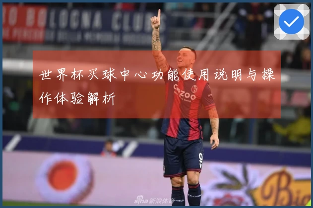 世界杯买球中心功能使用说明与操作体验解析